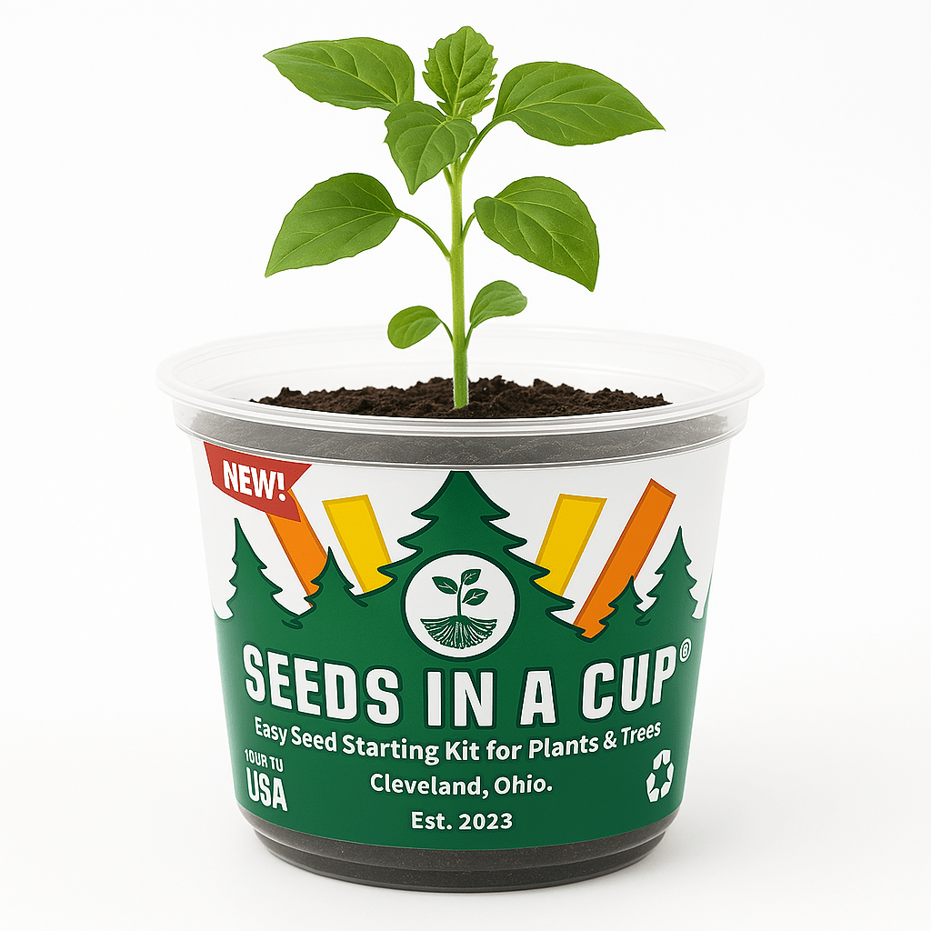 How to Grow Broccoli from Seed at Home – Step-by-Step Guide Using Seeds In A Cup® Kits - Seeds In A Cup®