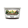 Seeds In A Cup Papaya (Carica papaya) Grow Kit - Complete seed starter with recyclable planter, non-GMO seeds, and real potting soil. Hand-assembled in Cleveland, Ohio, USA.