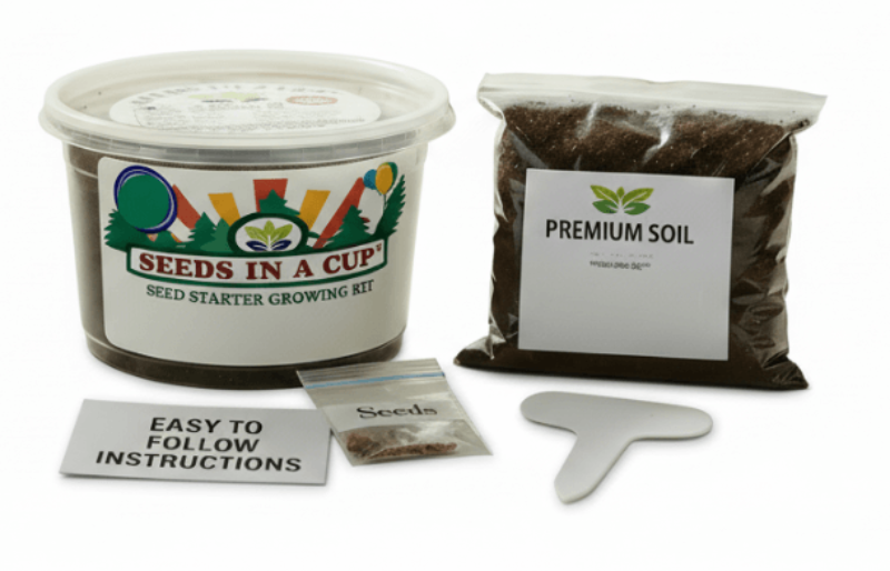 How to plant Apple Tree (Malus domestica) seeds: Step-by-step seed starting process using the Seeds In A Cup grow kit with real soil and moisture-retaining lid.