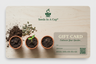 Seeds In A Cup® digital gift card — give the gift of growing plants and trees from seed.