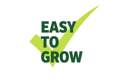 Seeds In A Cup® Vegetable & Herb Grow Kit — complete seed starter with recyclable planter, non-GMO seeds, and real potting soil. Hand-assembled in Cleveland, Ohio, USA.