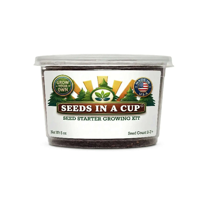 Healthy seedling thriving after transplant from a Seeds In A Cup® seed starter kit — high-germination non-GMO kits with real potting soil, hand-assembled in Cleveland, Ohio.
