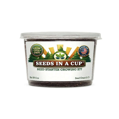 Healthy seedling thriving after transplant from a Seeds In A Cup® seed starter kit — high-germination non-GMO kits with real potting soil, hand-assembled in Cleveland, Ohio.